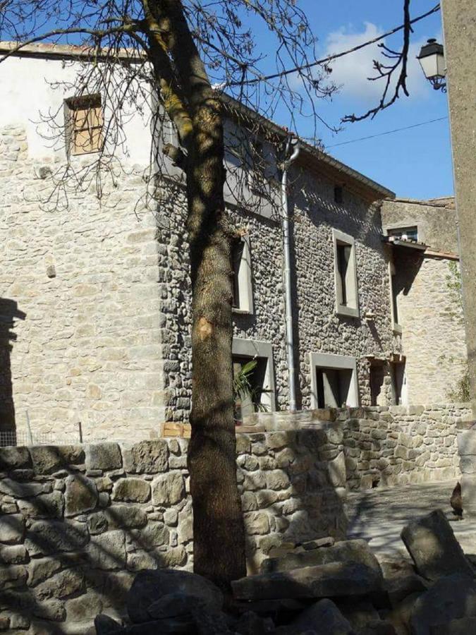 Villa Misanid Ecrin De Verdure A 15Mm De La Cite De Carcassonne Mas-des-Cours Экстерьер фото